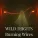 Wild Djigits - Burning Wires