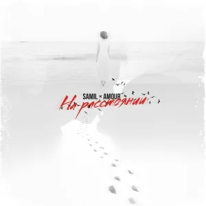 SAMIL feat. Amour - На расстоянии