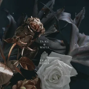 Ta-ku, Wafia - Meet In The Middle