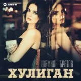 Шамиль Братов - Хулиган