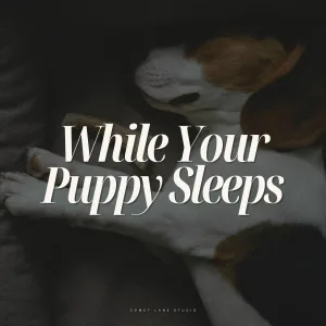 Dog Music - Hush Dusting