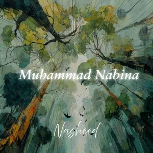 Nasheeds, Al Nasheeds - Nasheed Taweel Al shawq - Slowed Rain