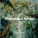 Nasheeds, Al Nasheeds - Nasheed Taweel Al shawq - Slowed Rain