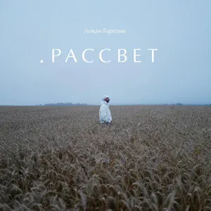 Леван Горозия - Не жалей