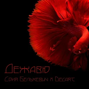 Соня Белькевич, Decart - Дежавю