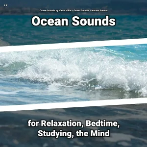 Ocean Sounds by Vince Villin, Ocean Sounds, Nature Sounds - Refreshing Charisma