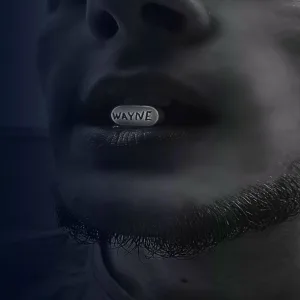 WAYNE feat. тот самый sadd - Правило 7Я