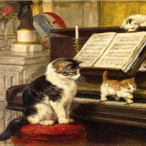 Piano Breeze, Universatility Group - A Moment's Peace