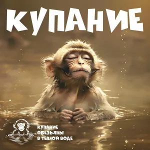 Купание обезьяны в тёплой воде - Спектакль