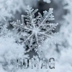 FOMAG - Снежинка