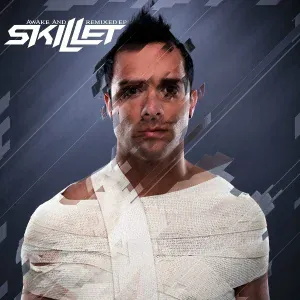 Skillet - Hero