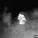 Night Lovell - PLEASE DON’T GO