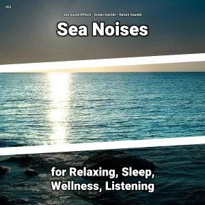 Sea Sound Effects, Ocean Sounds, Nature Sounds - Relieving Charisma