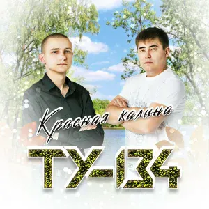 ТУ-134 - Обмани