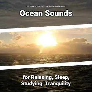 Sea Sounds to Relax To, Ocean Sounds, Nature Sounds - Unparalleled Reflections