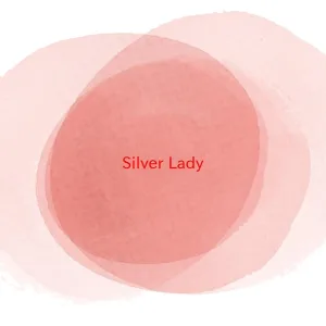 Разные исполнители - Silver Lady (Complete version originally performed by David Soul)