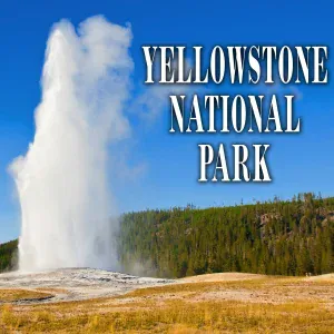 Sound Ideas - Old Faithful