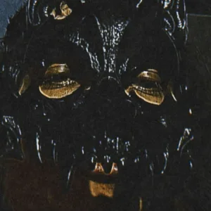 MARU NARA - RYU
