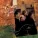 The Manhattan Transfer - The Offbeat of Avenues