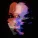 Kaito Shoma - Haunted House