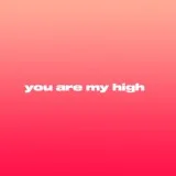 DJ Snake feat. Future - U Are My High
