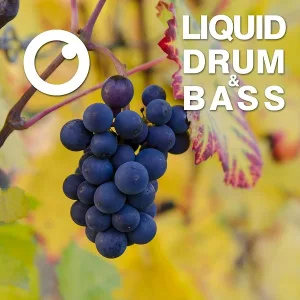 Dreazz - Liquid Drum & Bass Sessions 2020 Vol 15