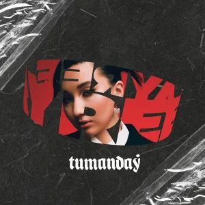 Ayree - tumandaý