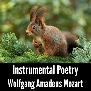 Wolfgang Amadeus Mozart - Piano Sonata No.7 in C, K.309, 3. Rondo Allegretto Grazioso
