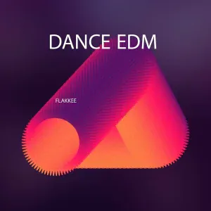 DANCE EDM - My Money Don't Jiggle Jiggle