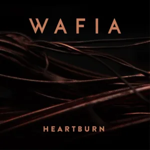 Wafia - Heartburn (Felix Cartal Remix) (Felix Cartal Remix)