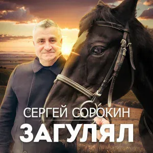 Сергей Сорокин - Загулял