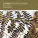 William Bennett, George Malcolm, Michael Evans - J.S. Bach: Sonata for Flute No.4 in C, BWV 1033 - 4. Menuet I - II