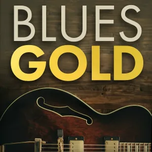 Elmore James - Madison Blues