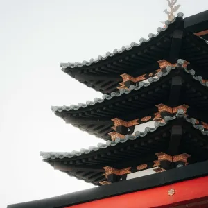 Cursed Void - Japanese Spring