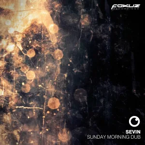 Sevin - Jaded