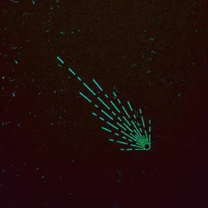 LISOVSKY, BERSBOi - Звездопадами (Remix)