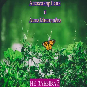 Александр Есин, Анна Мингалёва - Не забывай