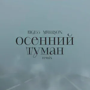 Bigi55 - Осенний туман (Mellison Remix)