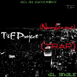 T&F Project - Trap