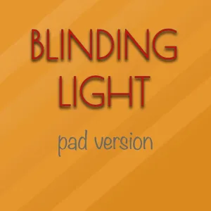 Danny McCartney - blinding light