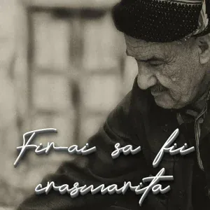 Petre de la Bals, Fane de la Gavanesti - Anul asta,eu fac nunta