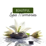 Spa - Meditation Spa