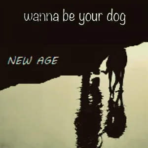 New Age - Too Drunk to Rock