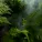 Música Zen Relaxante, Binaural Beats Brain Waves Isochronic Tones Brainwave Entrainment, Alpha Waves - Sounds of Endearment