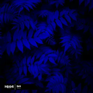 Xezzo - Dark