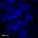 Xezzo - Dark