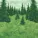 jacal - evergreen