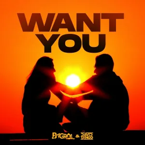 Bagrol, David Tango - Want You