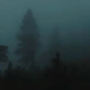 everysxde - i see you in my dreams