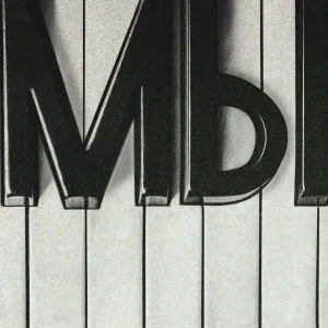 RAIM TRIGER - Моя Мишель